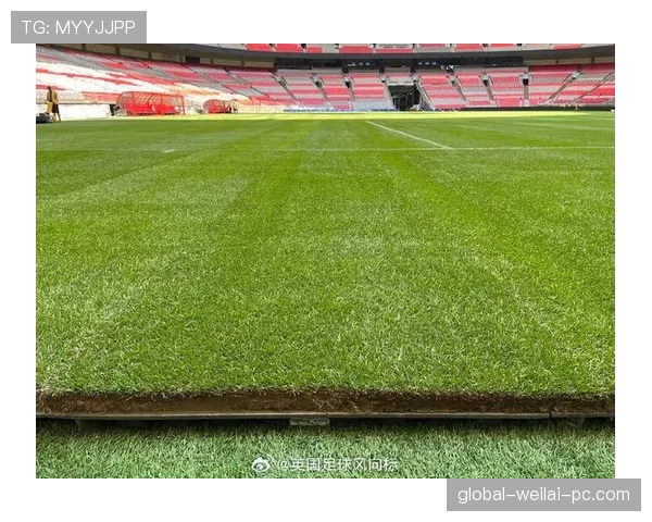 加拿大2026世界杯前景分析：主场优势能否助其突破小组赛